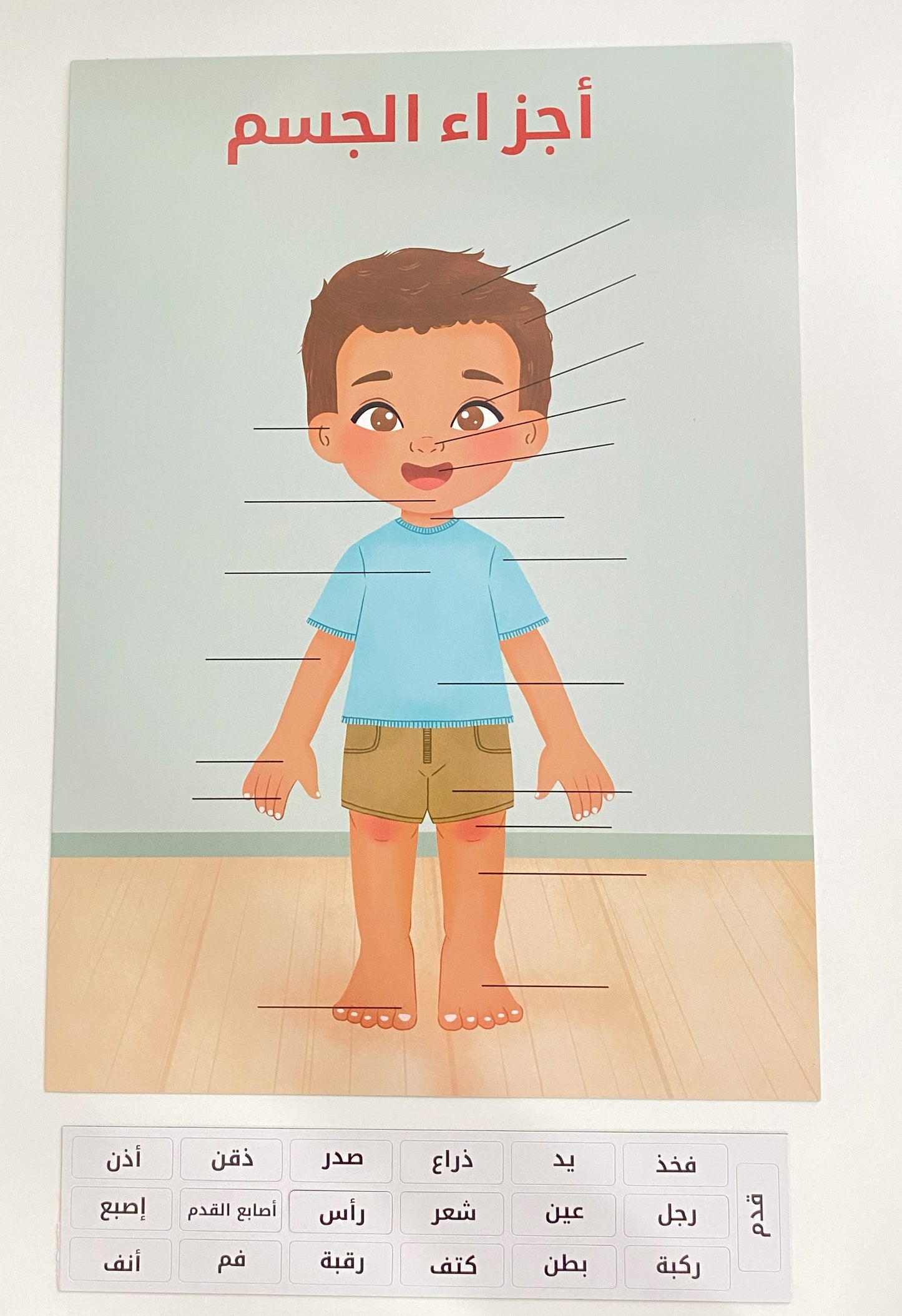 لعبة أجزاء الجسم المغناطيسية